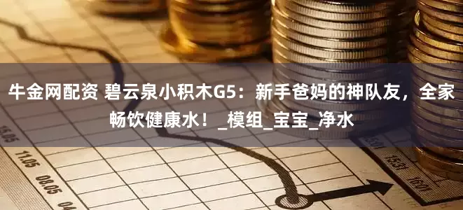 牛金网配资 碧云泉小积木G5：新手爸妈的神队友，全家畅饮健康水！_模组_宝宝_净水