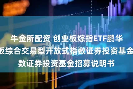 牛金所配资 创业板综指ETF鹏华: 鹏华创业板综合交易型开放式指数证券投资基金招募说明书